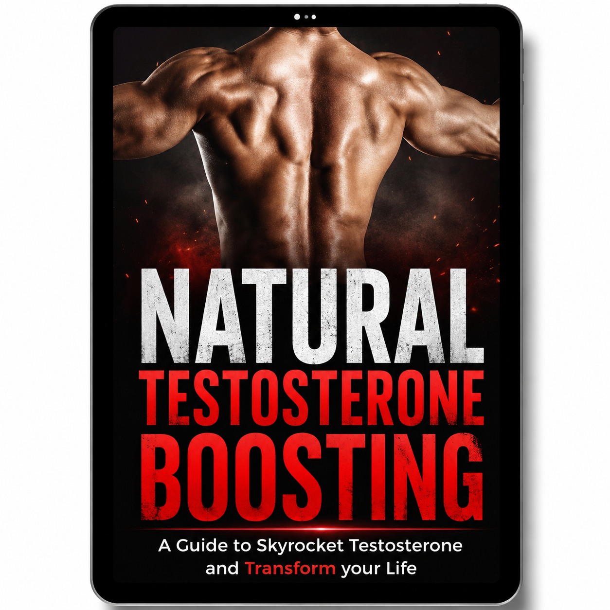 Testosterone Boosting Guide